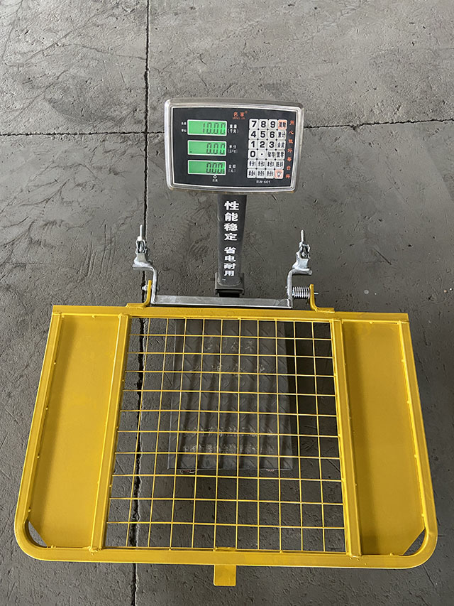 Scaffolding Safety Gate Gerüst Sicherheitsgate