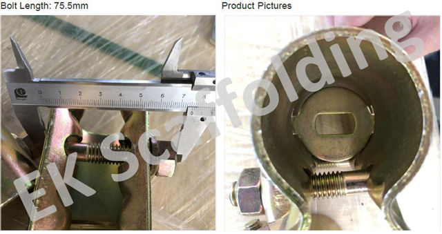 Gepresste H&uuml;lse Show 04