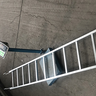 Gerüst gerade Stahl Monkey Leiter verzinkt