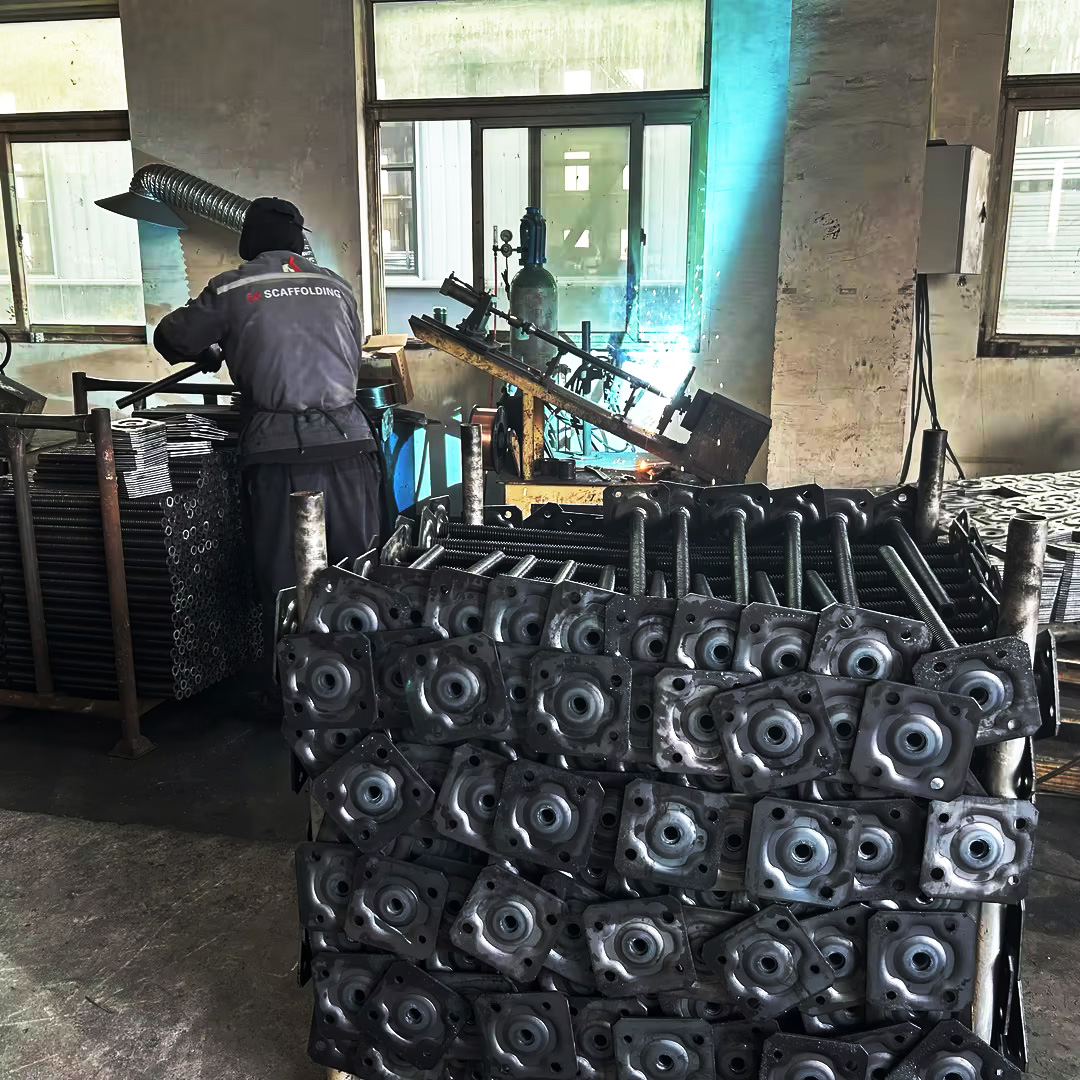 Basisbuchschwei&szlig;ung