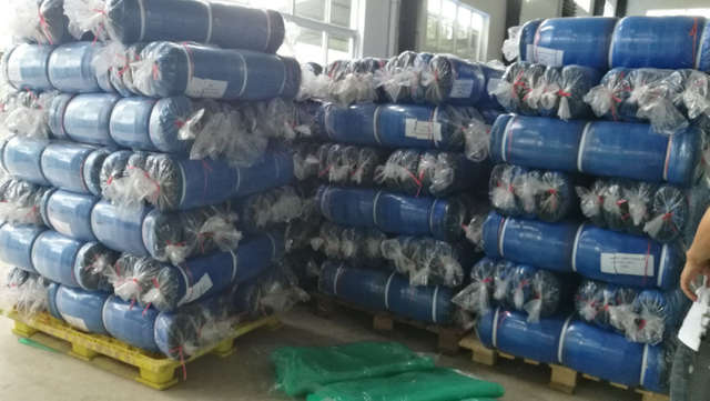 Fabrik BS hochwertiges Gerüst-Sicherheitsnetz