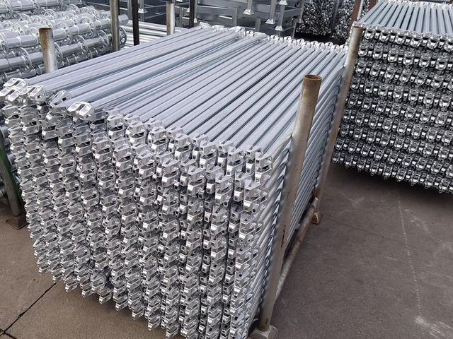 Ringlock -Ger&uuml;stbuch